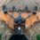 Best Batwing Ever